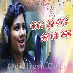 Pakei Duba Chaula Lo Mo Boula - Odia Masti Song